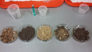 Soil samples (3)